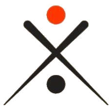 BaliPoolCoach-logo